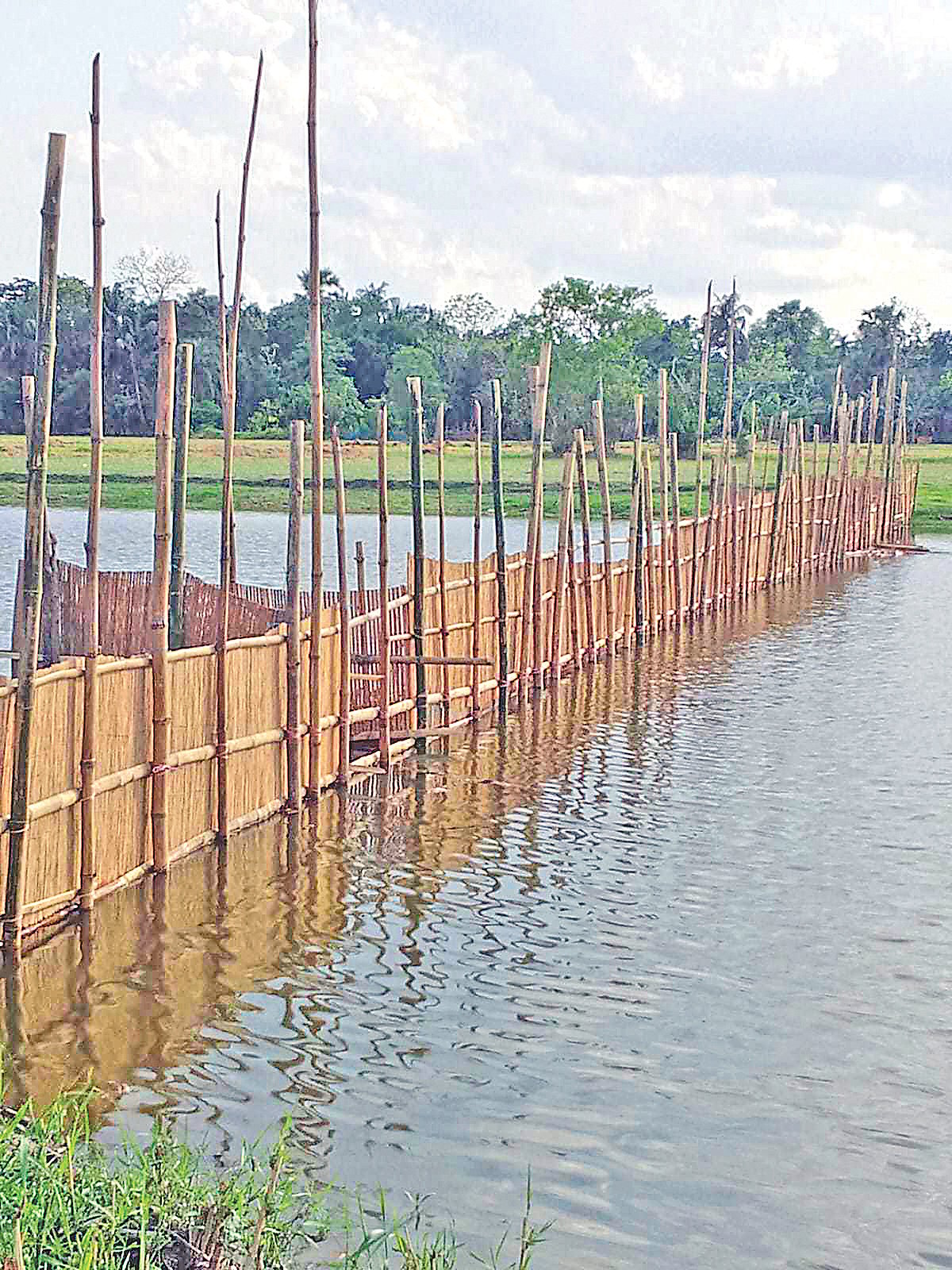 খুলনার আমতলা নদীতে অবৈধ বাঁশের বেড়া সরাতে হাইকোর্টের ৭ দিনের কঠোর নির্দেশ